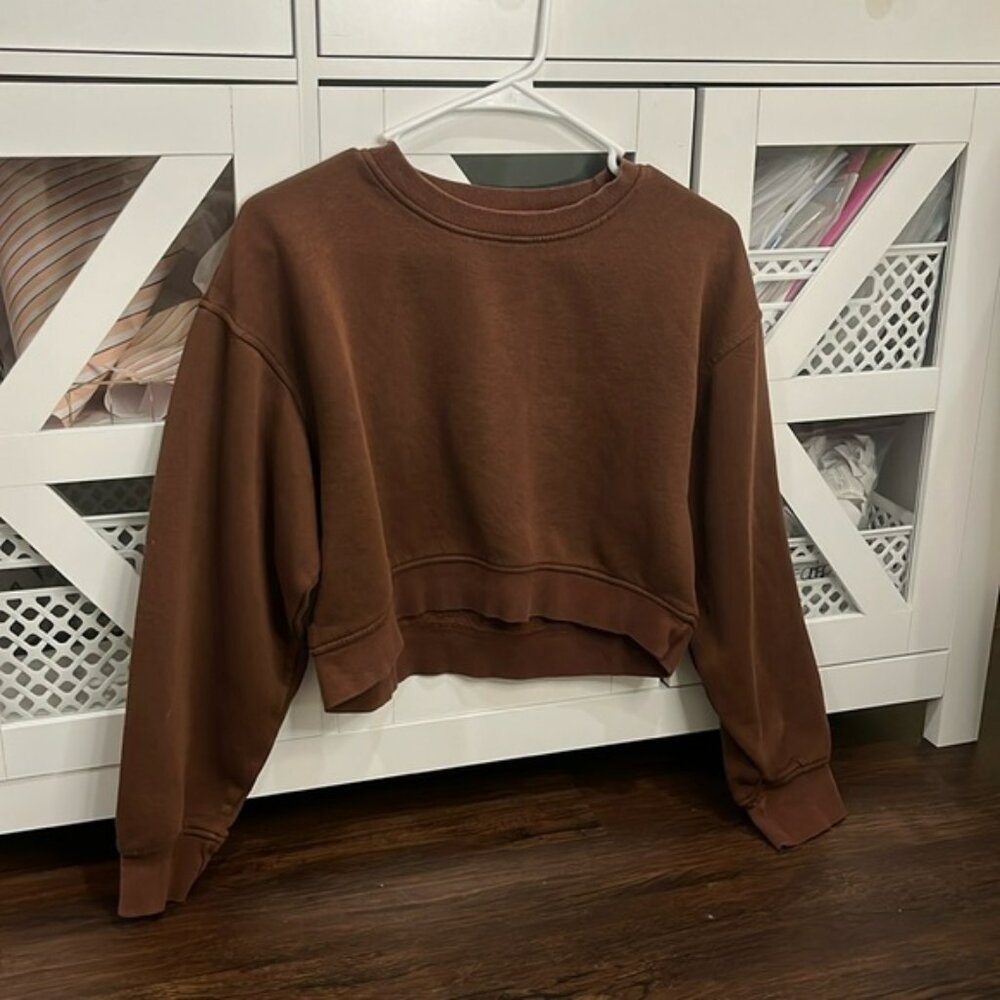 Brown Cropped Zara Sweatshirt